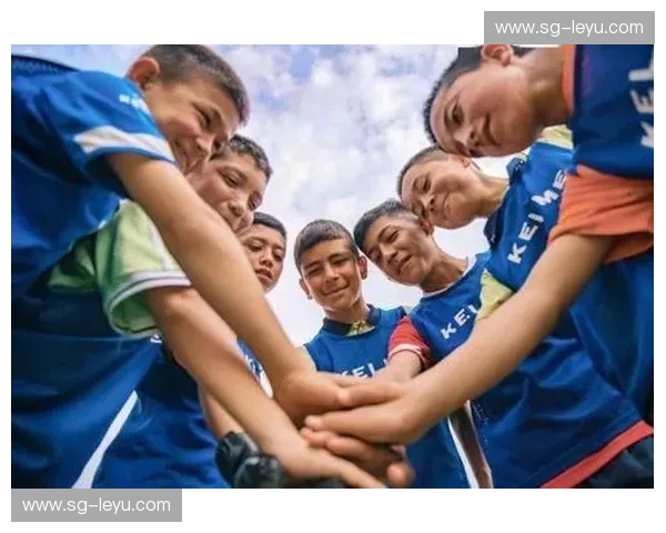 逐梦绿茵，凤凰涅槃：墨尔本与惠灵顿的足球传奇